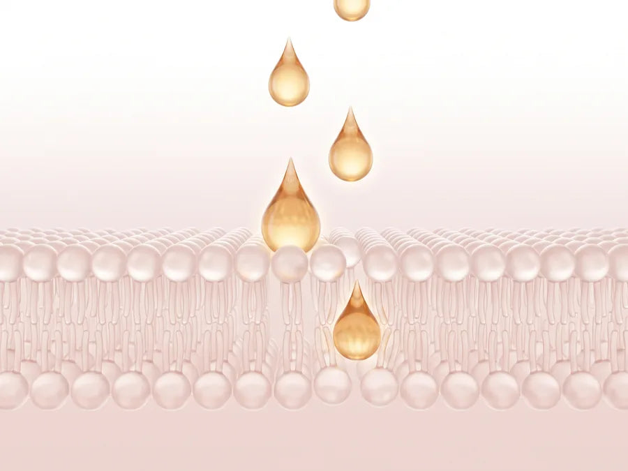 Enhanced Absorption